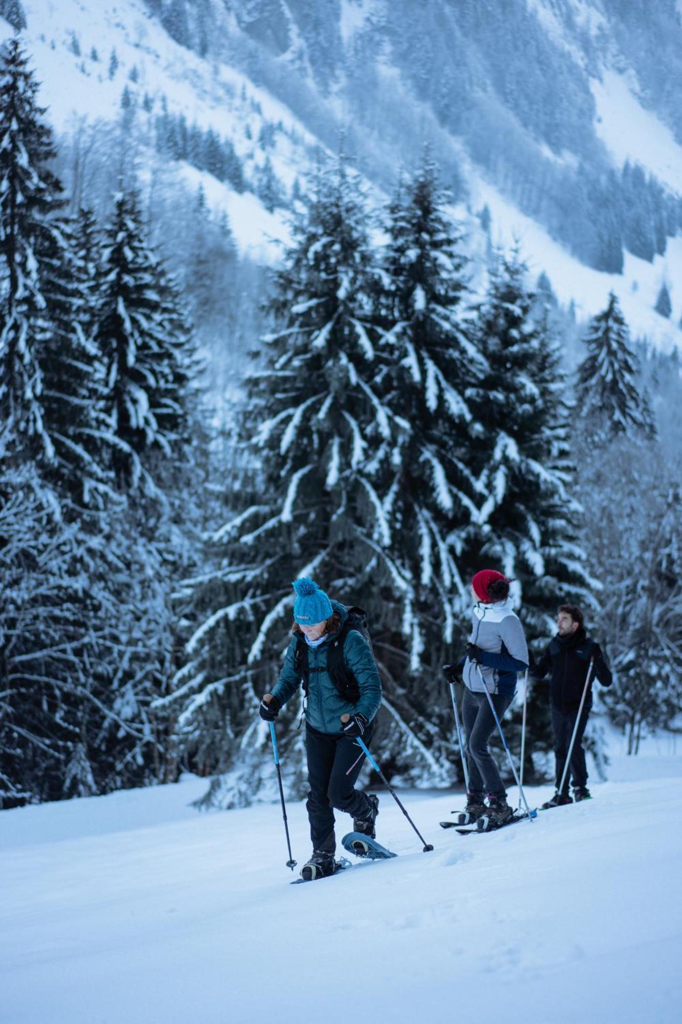 Chalet 1864 Le Grand-Bornand Luaran gambar